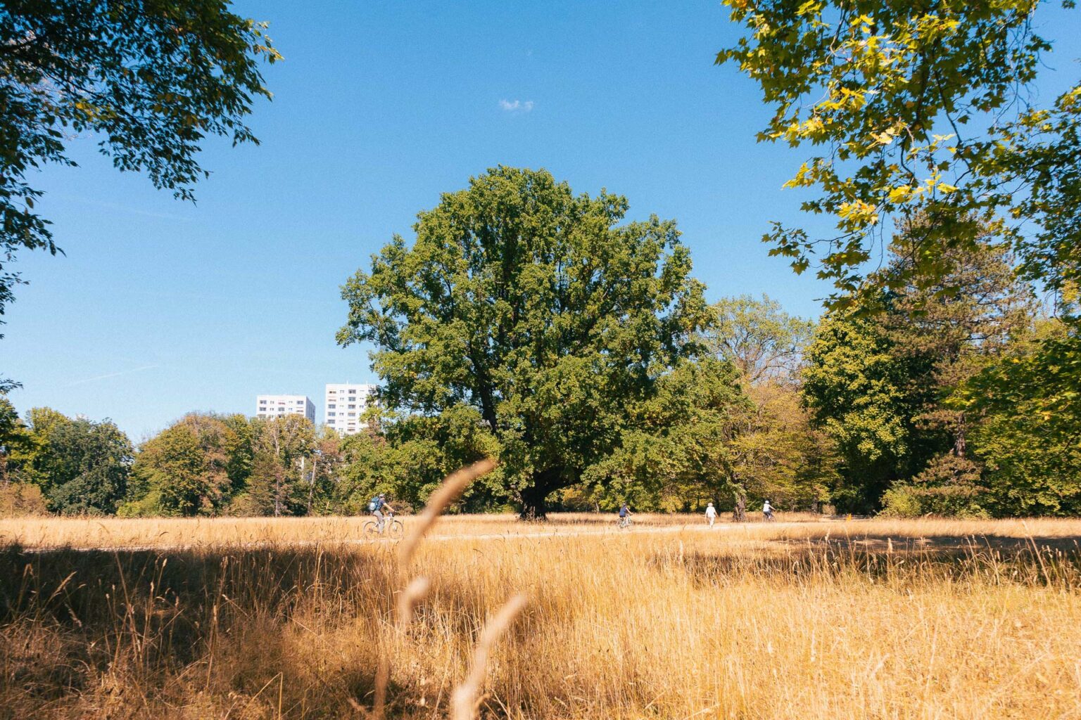 klimawandel_web-08539