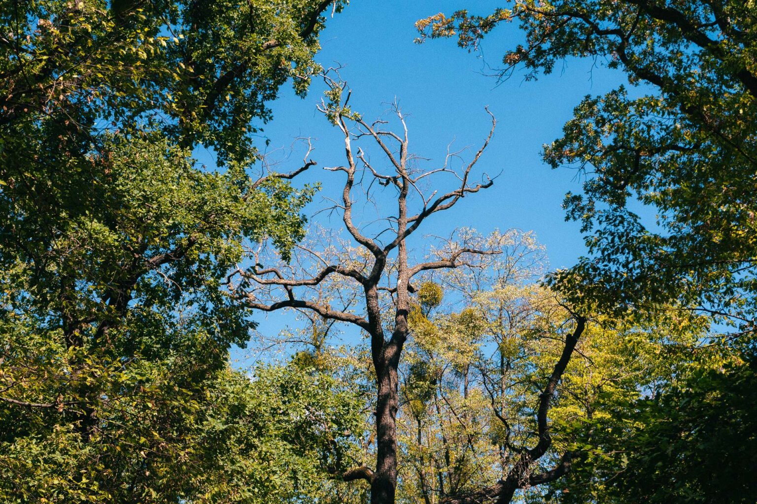 klimawandel_web-08568