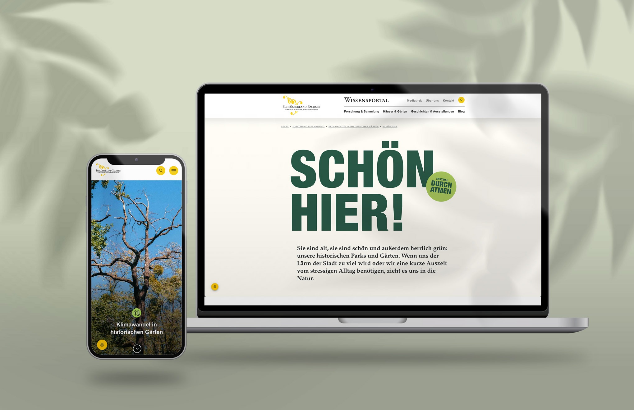 Website_klimawandel_Schloesserland_Sachsen