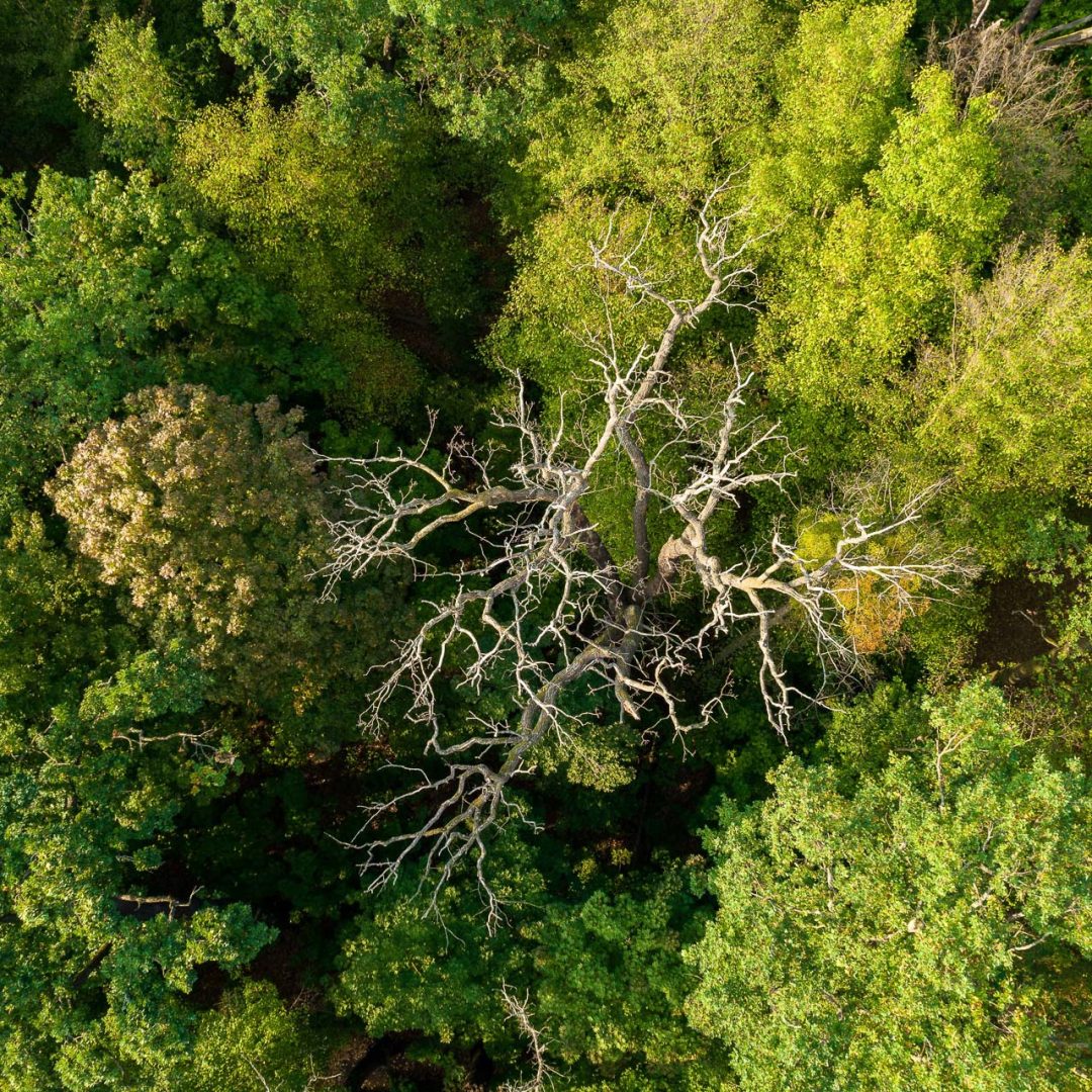 klimawandel_web-0091
