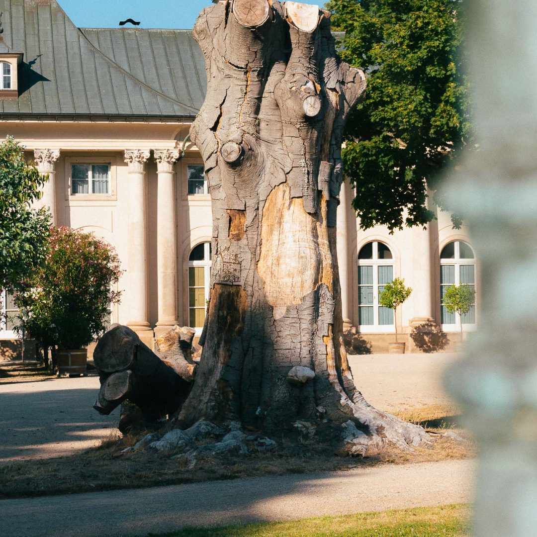 klimawandel_web-08690